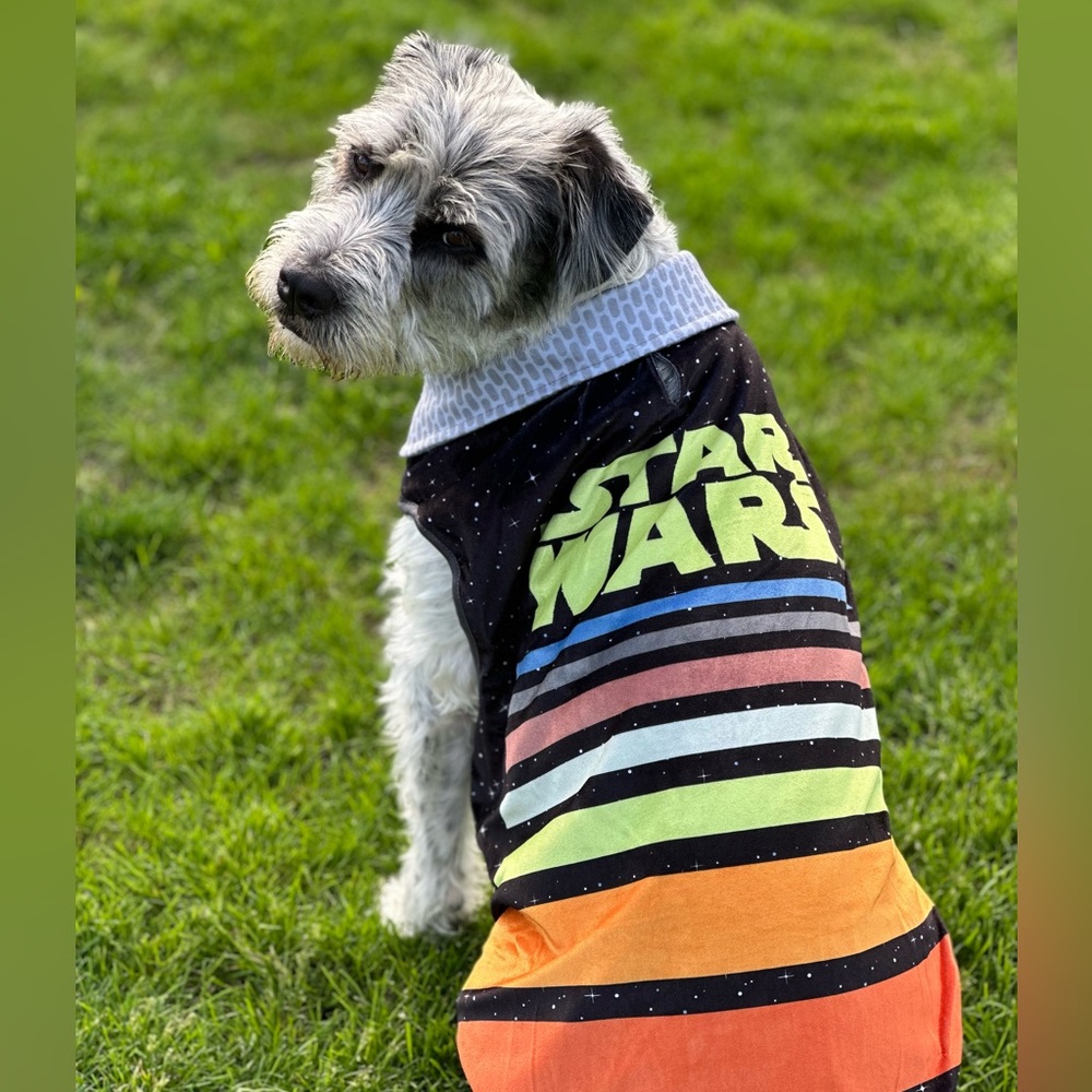 New Set: Star Wars Dog sweater and treat jar